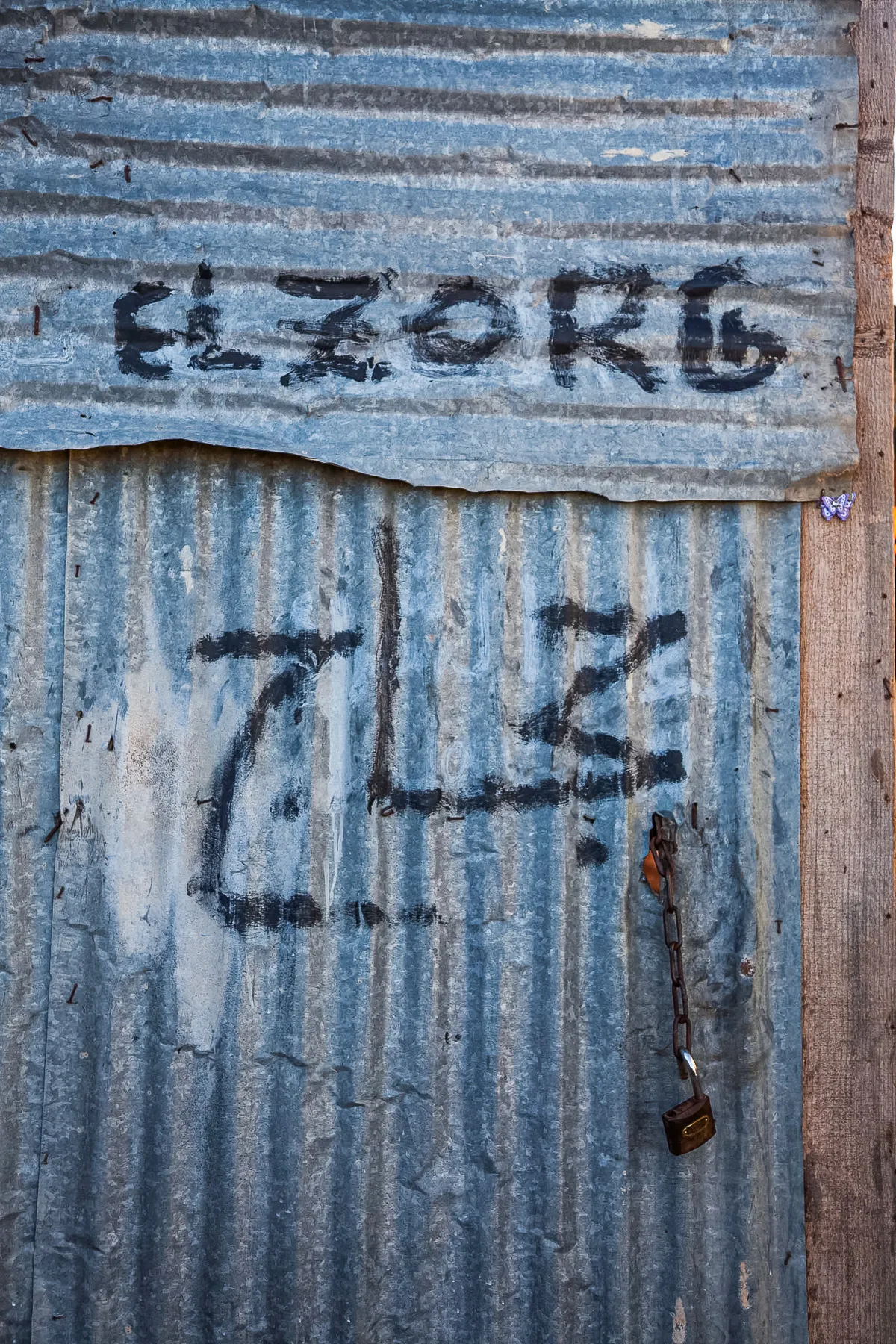 ain zorg campagne algerie