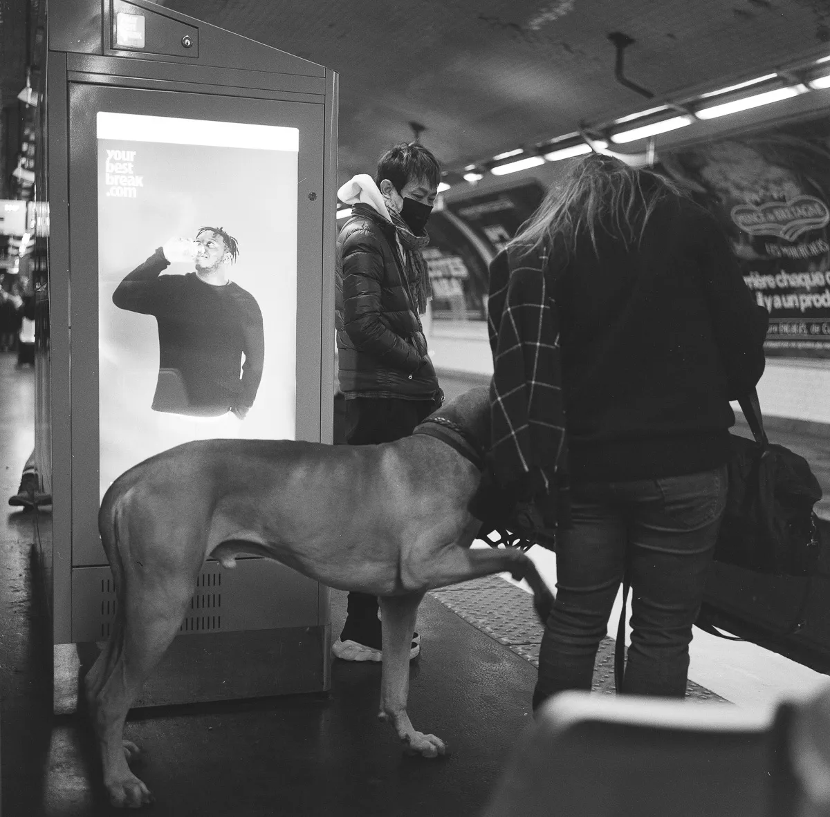 metro paris chien 018