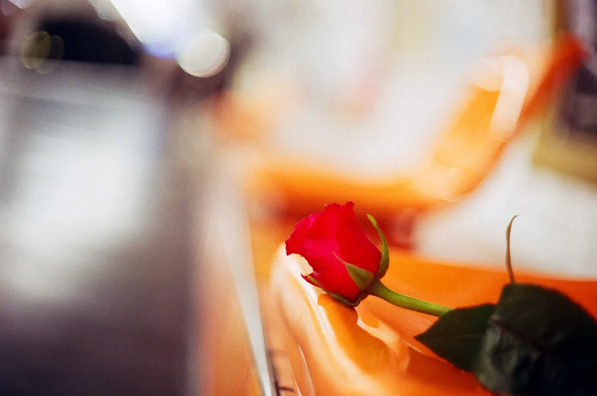 metro paris rose 014