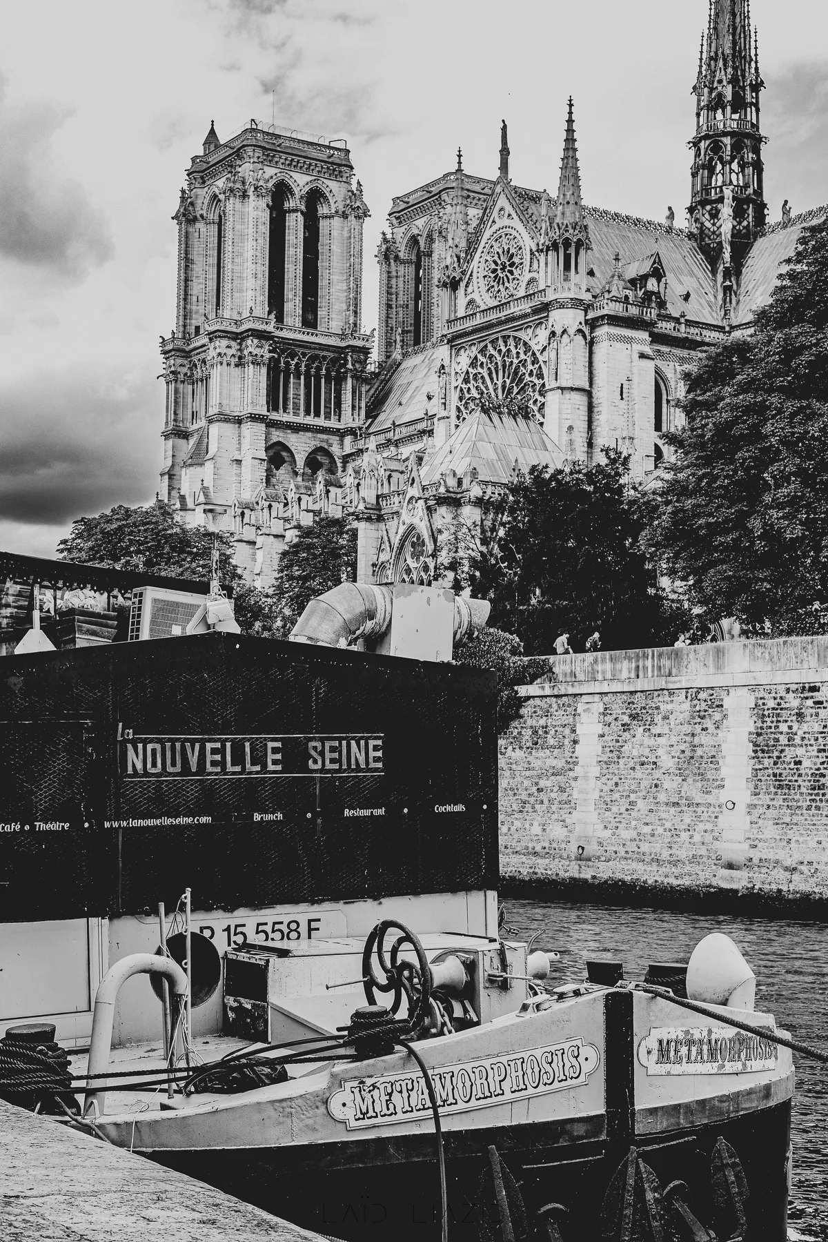 notre dame avant incendie la nouvelle sien peniche