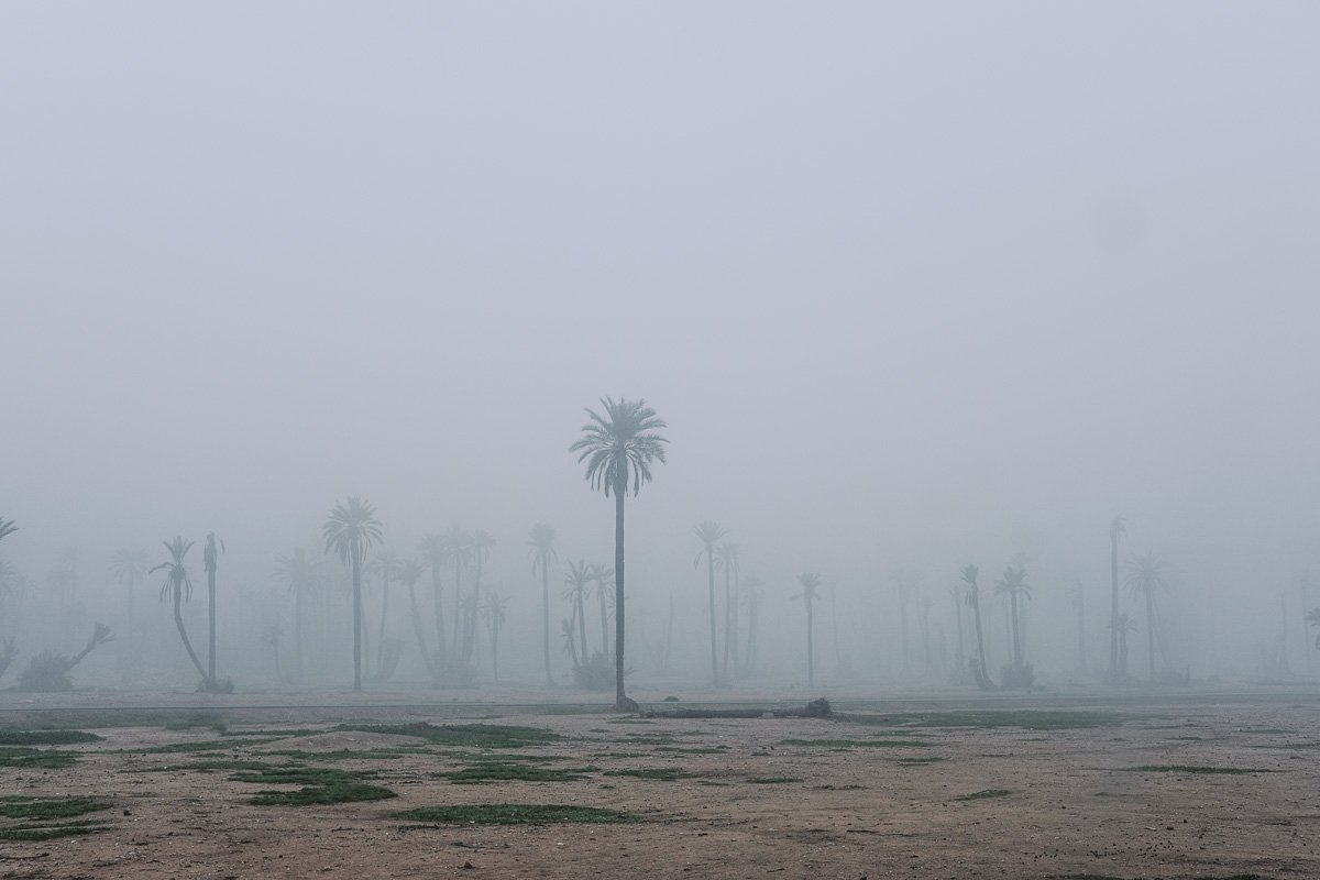 palmeraie brouillard marrakech 008