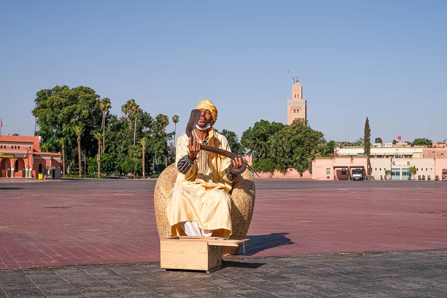 charmeur serpent jemaa el fna covid