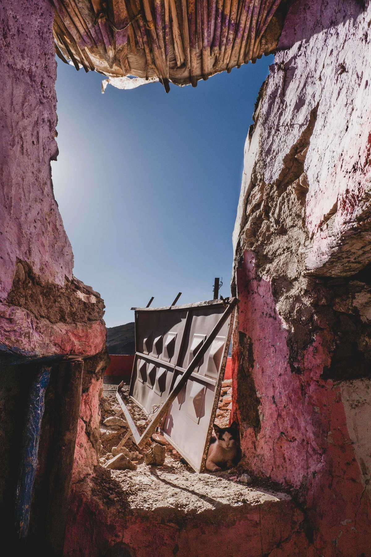 tremblement de terre marrakech chat 2023 011